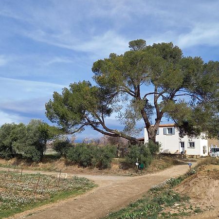 Domaine Saint Augustin Villa Rieux-Minervois Bagian luar foto