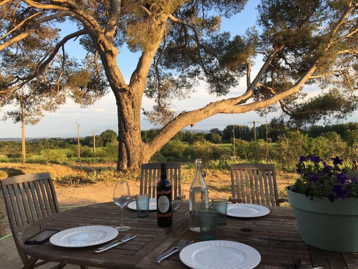 Domaine Saint Augustin Villa Rieux-Minervois Bagian luar foto