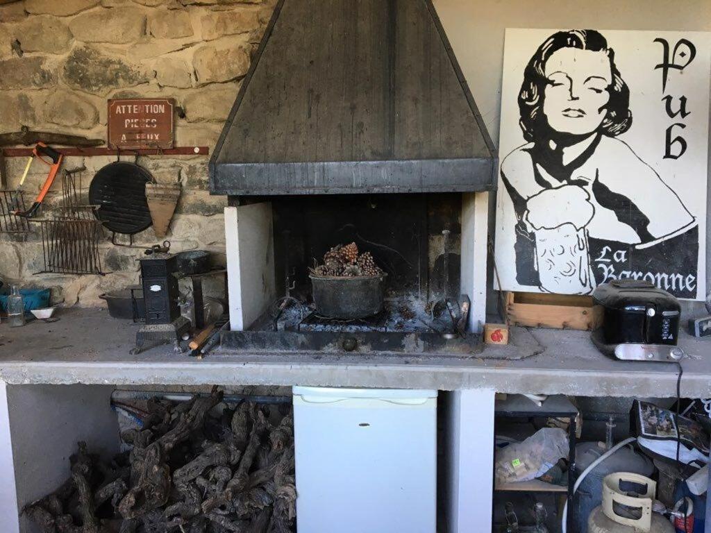Domaine Saint Augustin Villa Rieux-Minervois Bagian luar foto
