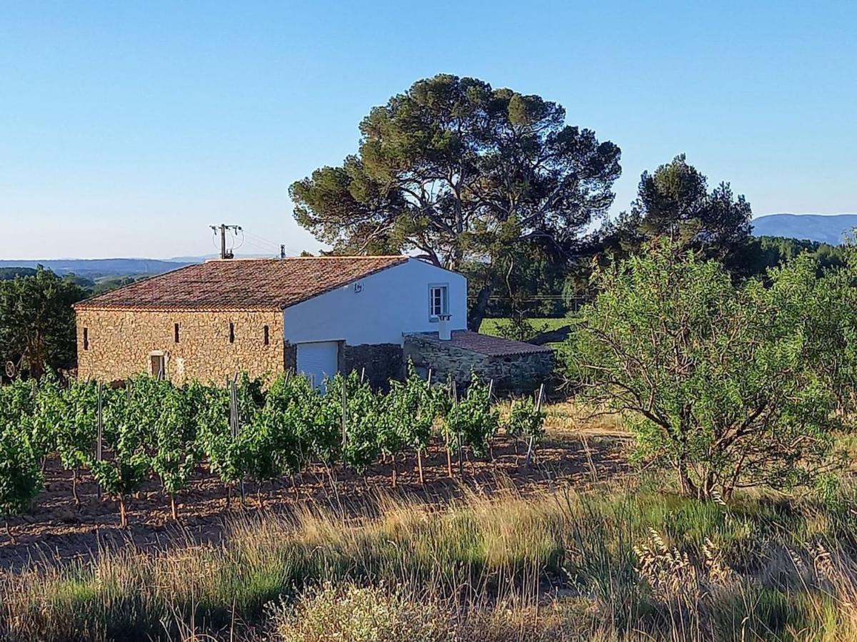 Domaine Saint Augustin Villa Rieux-Minervois Bagian luar foto